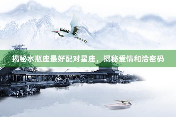 揭秘水瓶座最好配对星座,揭秘爱情和洽密码